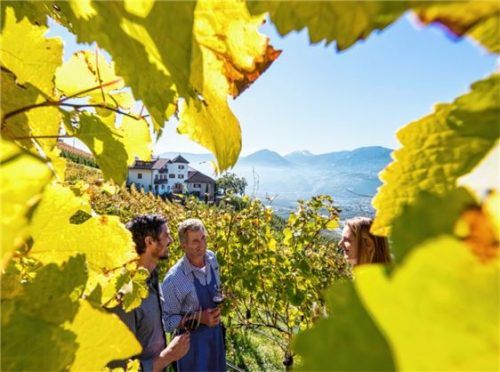 Wie kommen die Trauben in die Flasche? Das erfahren Urlauber auf den Südtiroler Weinhöfen der Marke „Roter Hahn“ direkt vom Bauern. Foto  „Roter Hahn“/Frieder Blickle