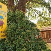 Neue städtische Kita im Sozialgebäude der SGF?