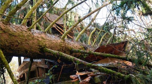 Auf das Dach gekracht: Ein rund 30 Meter hoher und ein Meter dicker Baum fiel auf die Klobensteinkapelle bei Schleching. Foto Stadt Traunstein