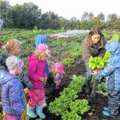 Gemüseernte: Kinder zu Besuch im Biohof