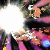 Der Herbst bringt Farbe in die Natur