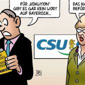 Wahlkampf an den Problemen vorbei