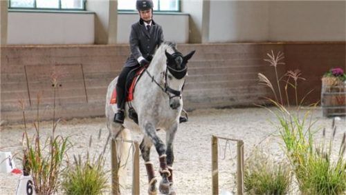 Auch das gehörte zu den Aufgaben: Das Reiten über eine Brücke, wie hier von Julia Neumeier, der Siegerin der Junioren-Wertung in der Einsteigerklasse, vorgeführt.Foto Bombel