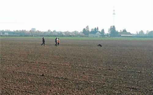 Auf dem Acker in Straubing war die Spürnase von „Eros“ gefragt.