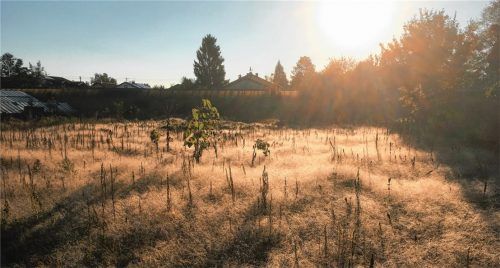 Auf diesem Grundstück im Kolbermoorer Süden ist geplant, fünf Einzel- und zwei Doppelhäuser zu bauen.Foto ge
