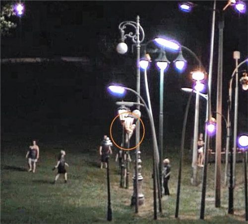 Der Straßenlaternenwald, ein Kunstobjekt der Landesgartenschau, als Kletterpark (Kreis) ...