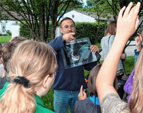 Eine Koryphäe in Aktion: Fledermausexperte Dr. Andreas Zahn begeistert bei seinen Führungen in Waldkraiburg nicht nur Kinder für die Flattertiere.Foto zahn