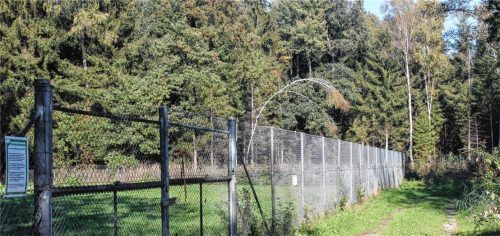 Im nordöstlichen Bereich des Tierheim-Grundstücks sollen die Container platziert werden. Foto Fleindl