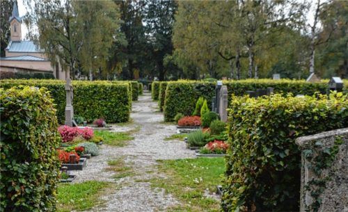 Offener Charakter: Die Hecken auf dem städtischen Friedhof haben eine Einheitsgröße und unterstreichen somit den offenen Charakter. Fotos Heise