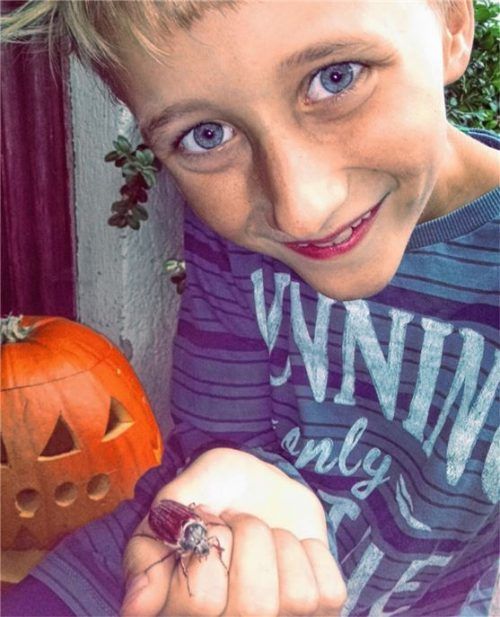 Ungewöhnlicher Besuch im Garten der Familie Kogler in Nußdorf: Ein Maikäfer ließ sich auf der Hand von Sohn Vitus nieder. Foto  Kogler