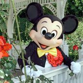 Vielen Dank für die Blumen