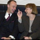Die Jobs des Friedrich Merz