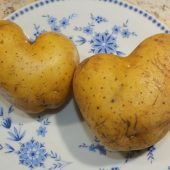 Dürre macht Kartoffeln 50 Prozent teurer