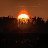 Verglühende Sonne über Guttenburg
