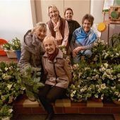 Mit Christrosen helfen