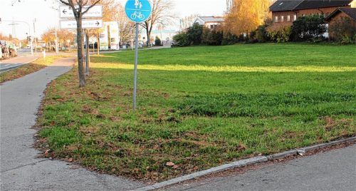 Auf dieser Wiese im Osten des Stadtteils Mitterhart sollen die neuen Häuser gebaut werden.Foto gruber