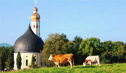Der Blick auf die Barockkirche am Wasen könnte durch einen Nordzulauf zerstört werden. Foto aez