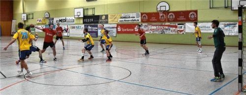 Die VfL-Handballer sind gegen Landshut gefordert. Foto  hk
