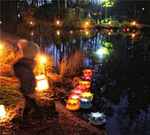 Eine zauberhafte Atmosphäre erzeugten die schwimmenden Laternderl (Bild links) im Stadtpark-Weiher beim Lichterfest des Familienzentrums. Später startete der erste Nacht-Crosslauf durch den Park, bei dem die Läufer mit Stirnlampen (Bild rechts) antraten.Fotos  hos