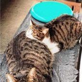 Jimmy und Rudi lieben es etwas ruhiger