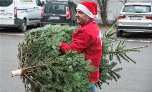 Schöne Weihnachtsbäume, die es für Besitzer einer OVBAbocard vergünstigt gibt, werden am 7. und 8. Dezember beim Weihnachtsmarkt auf dem Gelände des OVB-Druckzentrums in der Aisingerwies verkauft. Fotos re