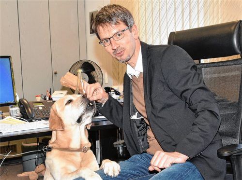 Vierbeiniger „Mitarbeiter“ von Andreas Bensegger: Sammy, ein siebenjähriger Labrador. Foto Schlecker