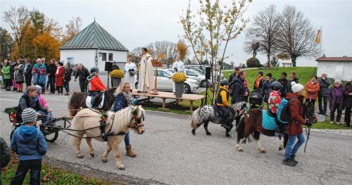 Vom kleinen Pony bis zum großen Hengst: Pfarrer Claus Kebinger segnete Ross und Reiter. Fotos Niessen