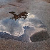 „Spiegelungen“: Zettl schießt das beste Foto