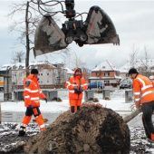 Pflanzaktion bei Schneetreiben