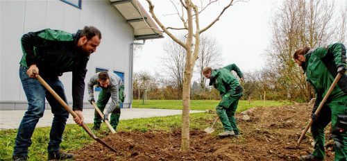 Dass die vier ein gutes Team sind, sieht man auch beim Einpflanzen einer Magnolie auf dem heimischen Betriebsareal. Fotos Sönmez