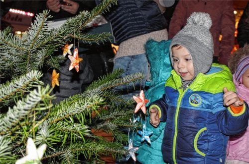Die Kleinsten eröffnen traditionell den Waldkraiburger Christkindlmarkt und schmücken die Bäumchen auf dem Sartrouville-Platz. Unser Bild zeigt Adam Dudas von der Spielgruppe Familienzentrum.Fotos kla