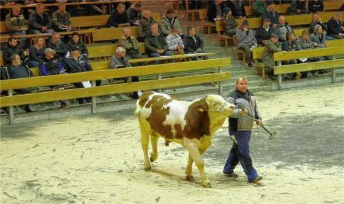 Hochwertige Genetik ersteigerte sich ein Züchter aus dem Bayerischen Wald mit diesem Imperativ-Sohn, gezüchtet auf dem Betrieb Christian Niederbuchner aus Aiging. Foto re