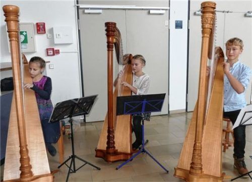 Mit Musik, Glühwein und Plätzchen hat die SPD am Wochenende die Wunschbaum-Aktion im Haus der Kultur eröffnet. Dort steht seitdem ein Christbaum, an den Waldkraiburger, denen es finanziell nicht so gut geht, Weihnachtswünsche hängen können.Foto  bac