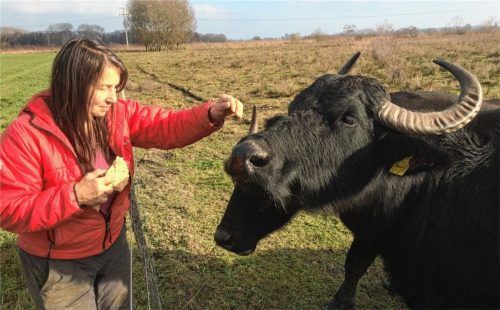 Zwei Damen, die sich respektieren: Biobäuerin Fini Reißaus mit Wasserbüffelkuh Lilli.Fotos re/kla