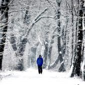 Es schneit und schneit und schneit