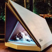 Das bringt das neue Technik-Jahr