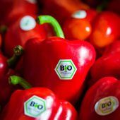Bio-Studie: Mehr Aufklärung nötig