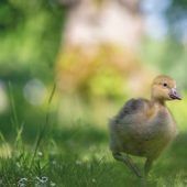 Spaziergang im Schlosspark