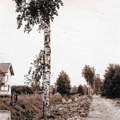 Rohre für die Ganghoferstraße