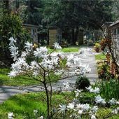 Stadt reinigt die Urnengräber