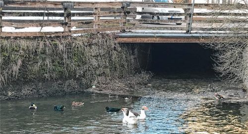 Das Brückerl am Schmiedweg. Hier im Wasser fühlen sich die Zierenten vom Beimer Hias wohl.Foto kme