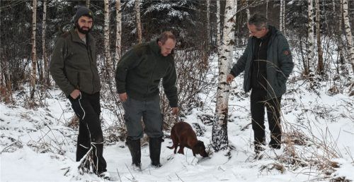Die Retter an der Fundstelle: Die Jäger Michael Stahl und Christoph Schnebelt sowie Revierleiter Wolfgang Aniser (von links). Zu dieser Birke wollte der 91-jährige Sepp Kannler robben. Ihn verließen aber kurz davor die Kräfte im Schnee. Fotos Mischi