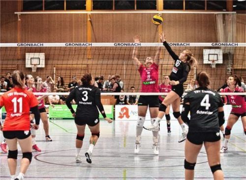 Kracher im Hexenkessel: Die Kleeblätterinnen treffen am Samstag auf den Dresdner SSV.