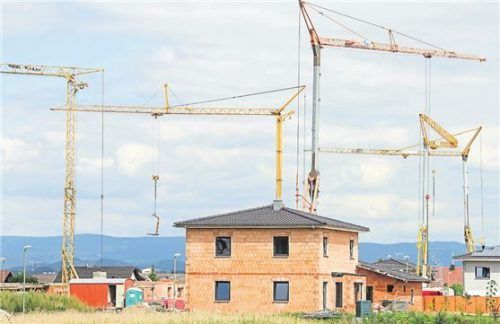 Kräne auf einer Baustelle in Parkstetten. Foto dpa/Weigel