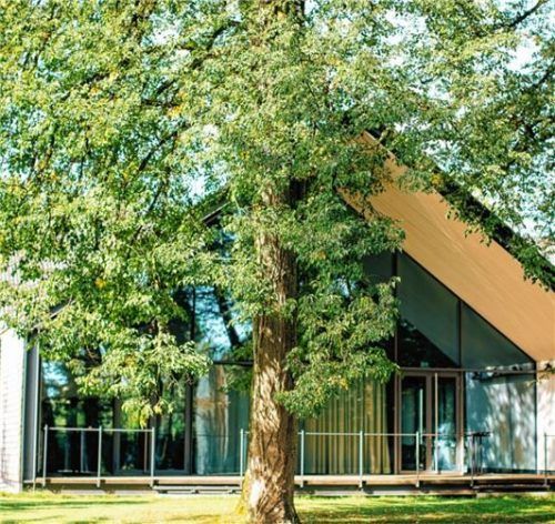 Tagen im angenehmen Ambiente: Das B&O Parkhotel in Bad Aibling.