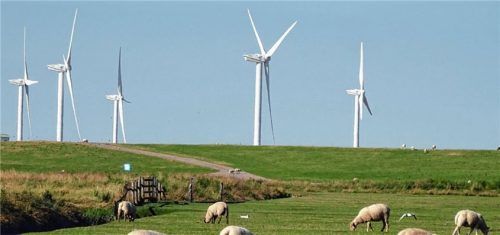 Vorfahrt für die Energiewende: 95 Prozent der Deutschen halten einen weiteren Ausbau der erneuerbaren Energien – etwa der Windkraft – für wichtig oder sogar außerordentlich wichtig. Foto  djd/UDI/Baumgarten