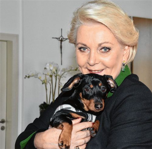 Zum ersten Mal im Büro der Oberbürgermeisterin: Dackel Otto, gerade mal ein halbes Jahr alt, ganz brav im Arm seines Frauchens Gabriele Bauer. Foto Schlecker