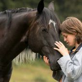 Pferde und ihre kleinen Geheimnisse