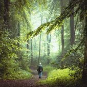 Urlaub im Sehnsuchtsort Wald