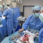 Organspende: Neustart ins Leben